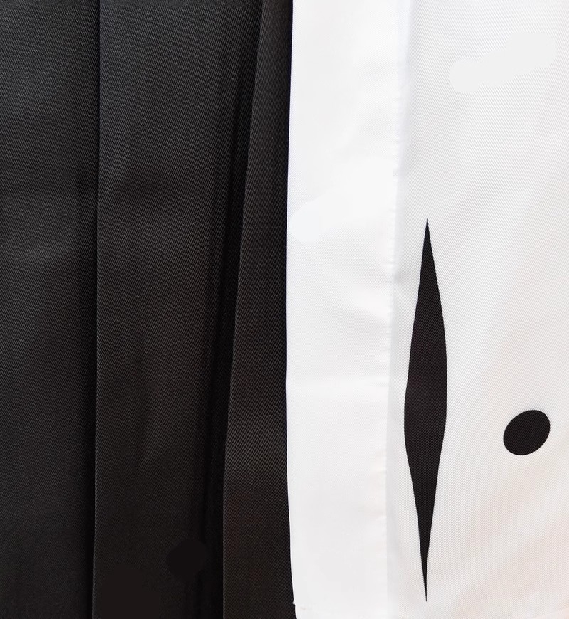 Toshiro Hitsugaya Cosplay Cost - Bleach Captain Coat 评论和价格